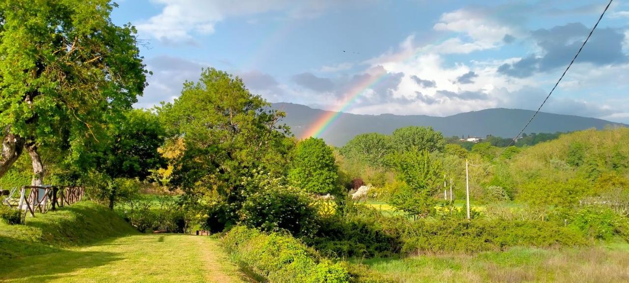 Agriturismo Lo Zolfino Penna Eksteriør billede